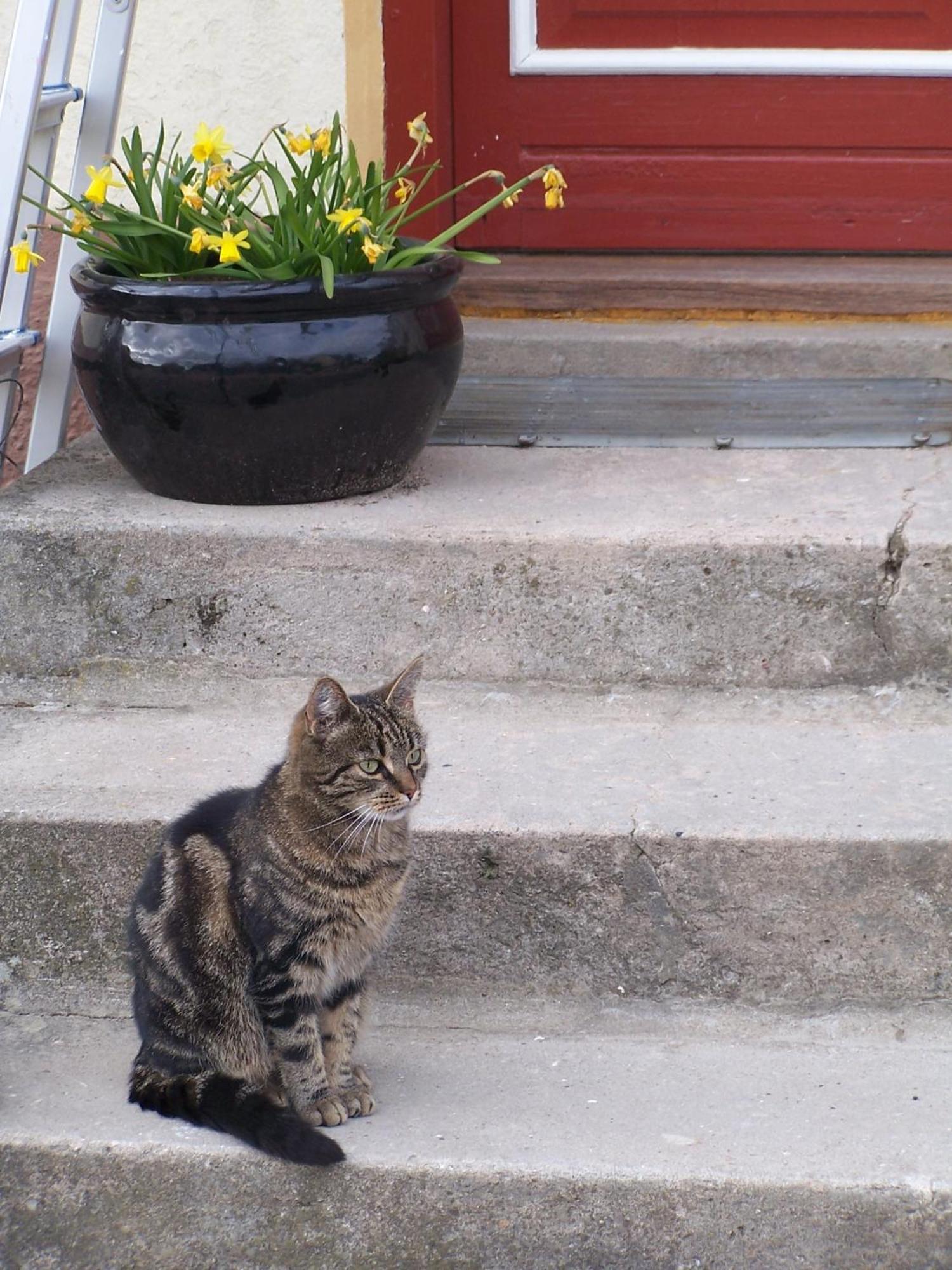Mollehusets Bed & Breakfast Nordborg Dış mekan fotoğraf